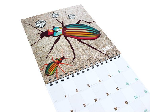 Grafik Design Kalender 2015 | kalender 2015 mit lustigen illustrationen grafikdesign Grafik Design Kalender 2015 | kalender 2015 mit lustigen illustrationen grafikdesign