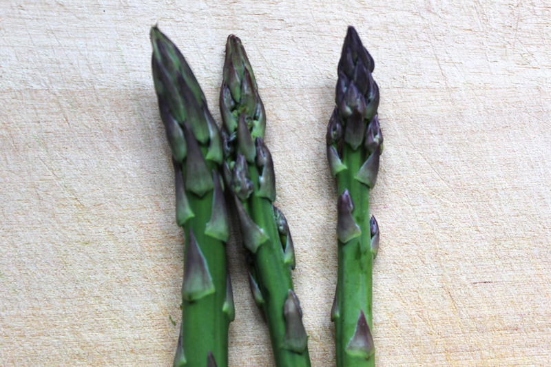 Spargel