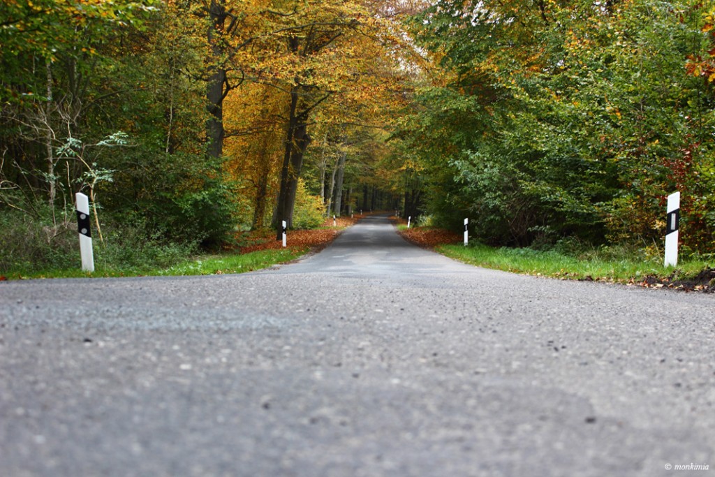 Herbst Brandenburg Fotografie